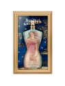 Jean Paul Gaultier Classique Collector Edition eau de toilette 100ml donna