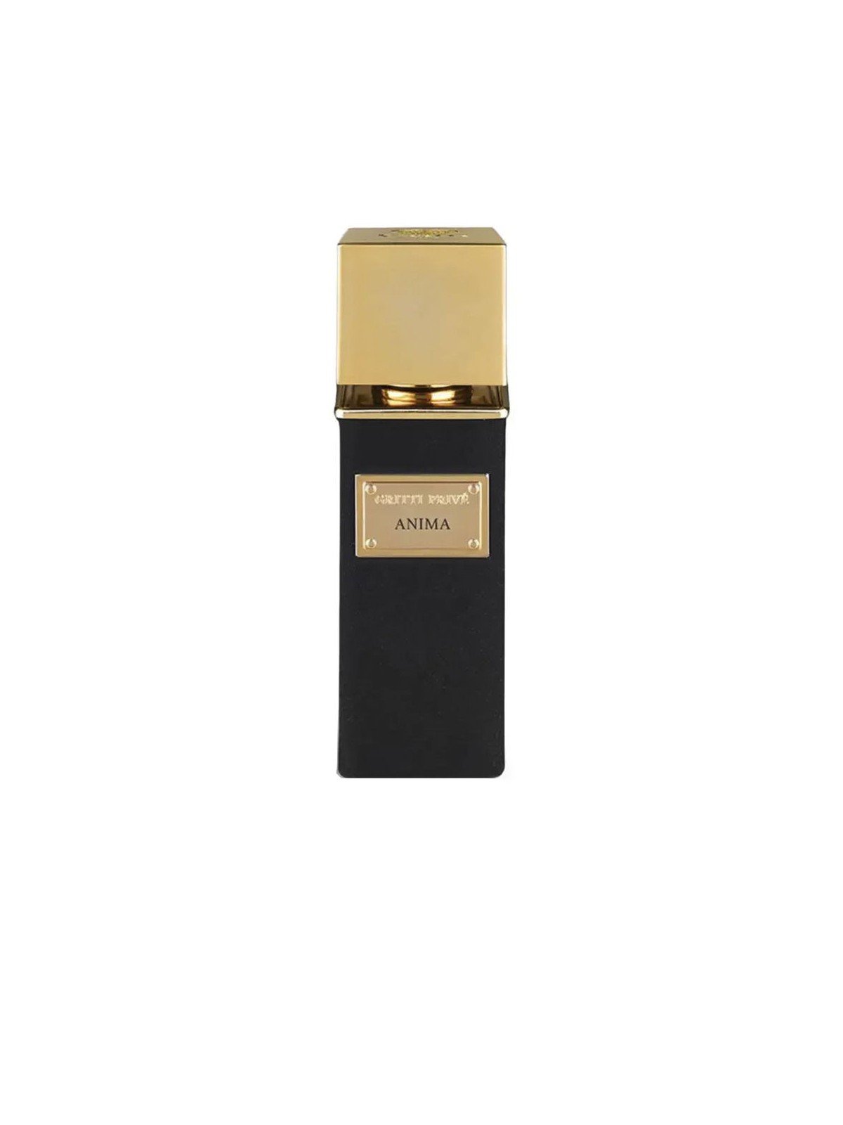 Gritti ANIMA EXTRAIT DE PARFUM eau de parfum vapo 100ml uomo