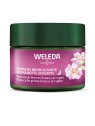 Weleda Crema notte levigante con rosa canina e tè bianco 40ml donna