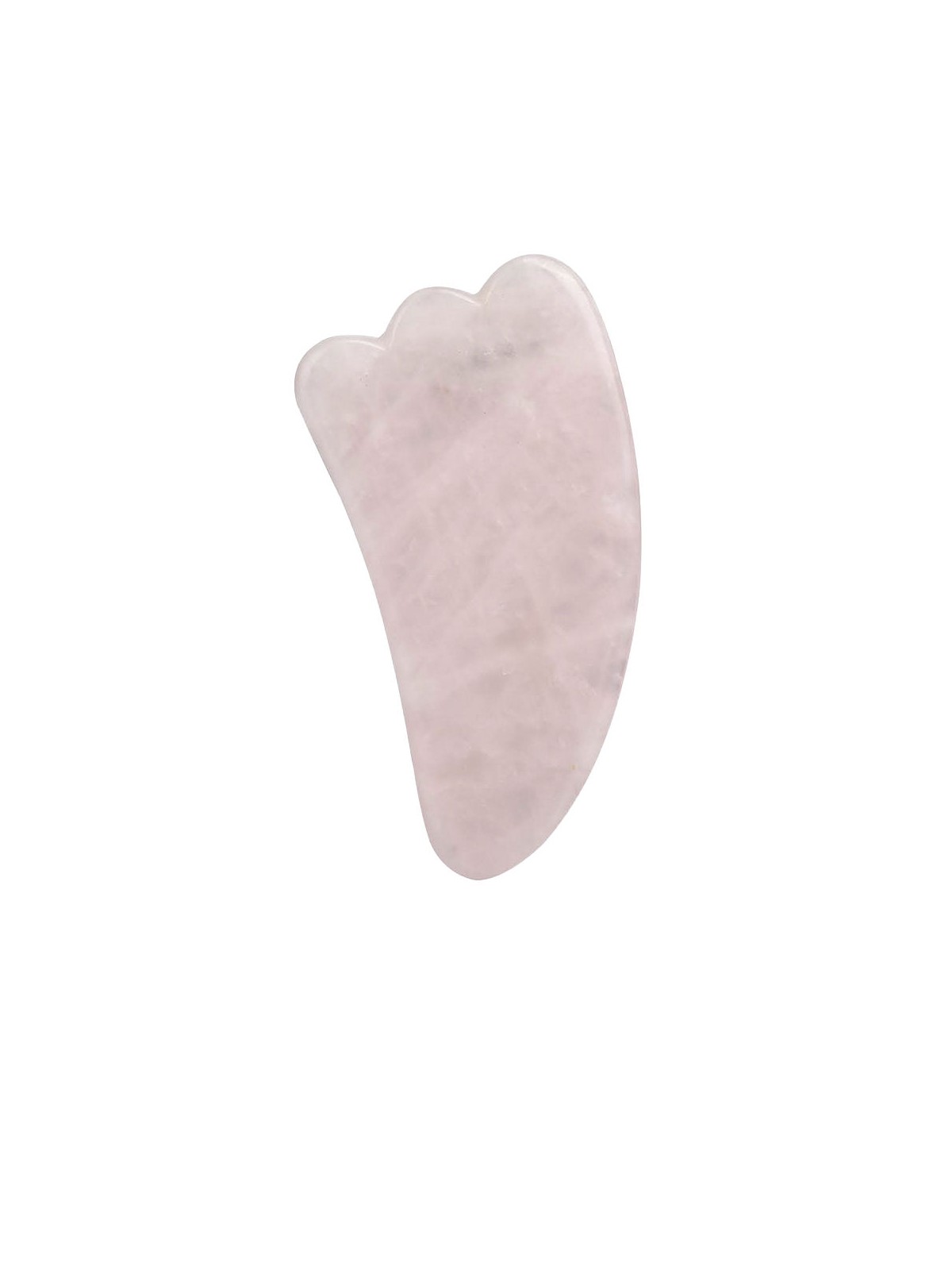 Paloma Beauties GUA SHA n.rosa 1 u unisex
