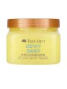 Tree Hut Scrub allo zucchero con margherite ricoperte di rugiada 510 g unisex