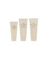 Origins SET CORPO ROSSO 4 pezzi Exfoliating scrub 100 ml + Shower gel 100 ml + Shower gel 100 ml + Hand cream 75 ml donna