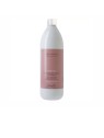 Farmavita Shampoo protettivo per colore AMETHYSTE CHROMA 1000ml unisex