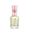 Sally Hansen Smalto per unghie COLOR THERAPY n.448-Chill & Refresh 14,7ml unisex