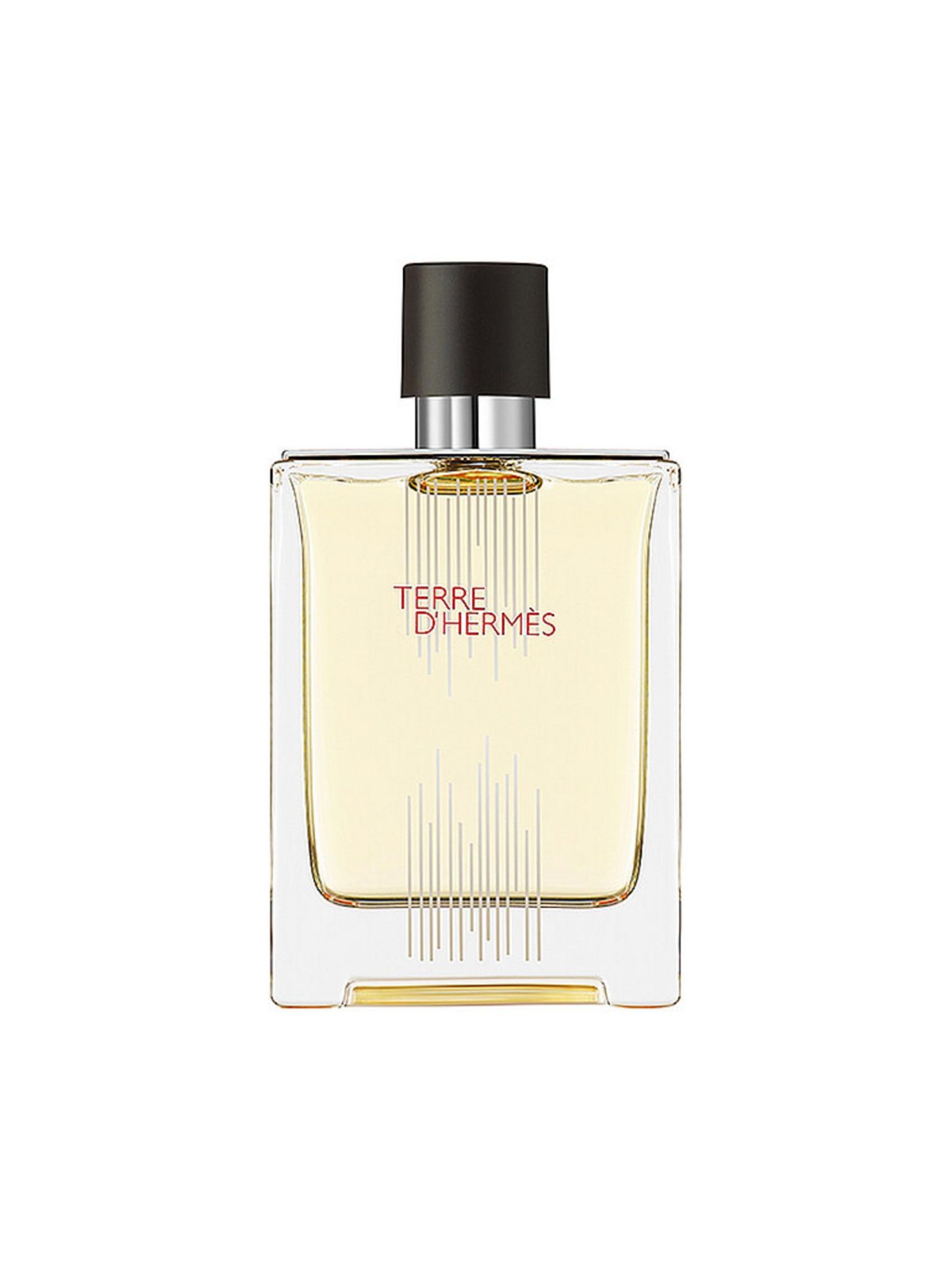 Hermes Terre d'Hermes Flacon H Edizione Limitata Eau De Toilette uomo 100ml