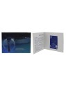 Collistar Perfecta Plus Crema Trattamento Locale Rassicurante e Lifting Quotidiano per Viso e Collo 15ml