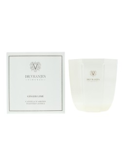 Candela profumata allo zenzero e lime Dr. Vranjes Firenze 200 g