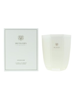Candela profumata allo zenzero e lime Dr. Vranjes Firenze 1000 g