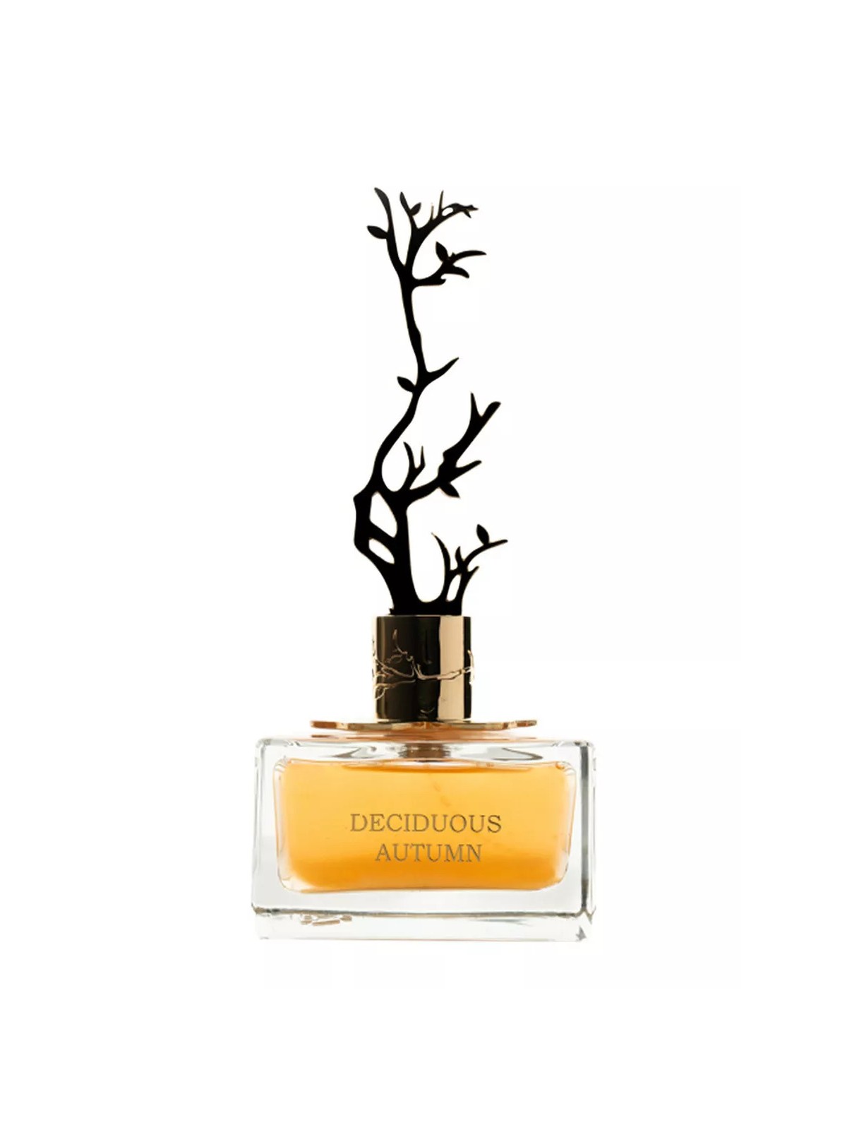 Aurora Deciduo Autunno Eau De Parfum donna 100ml