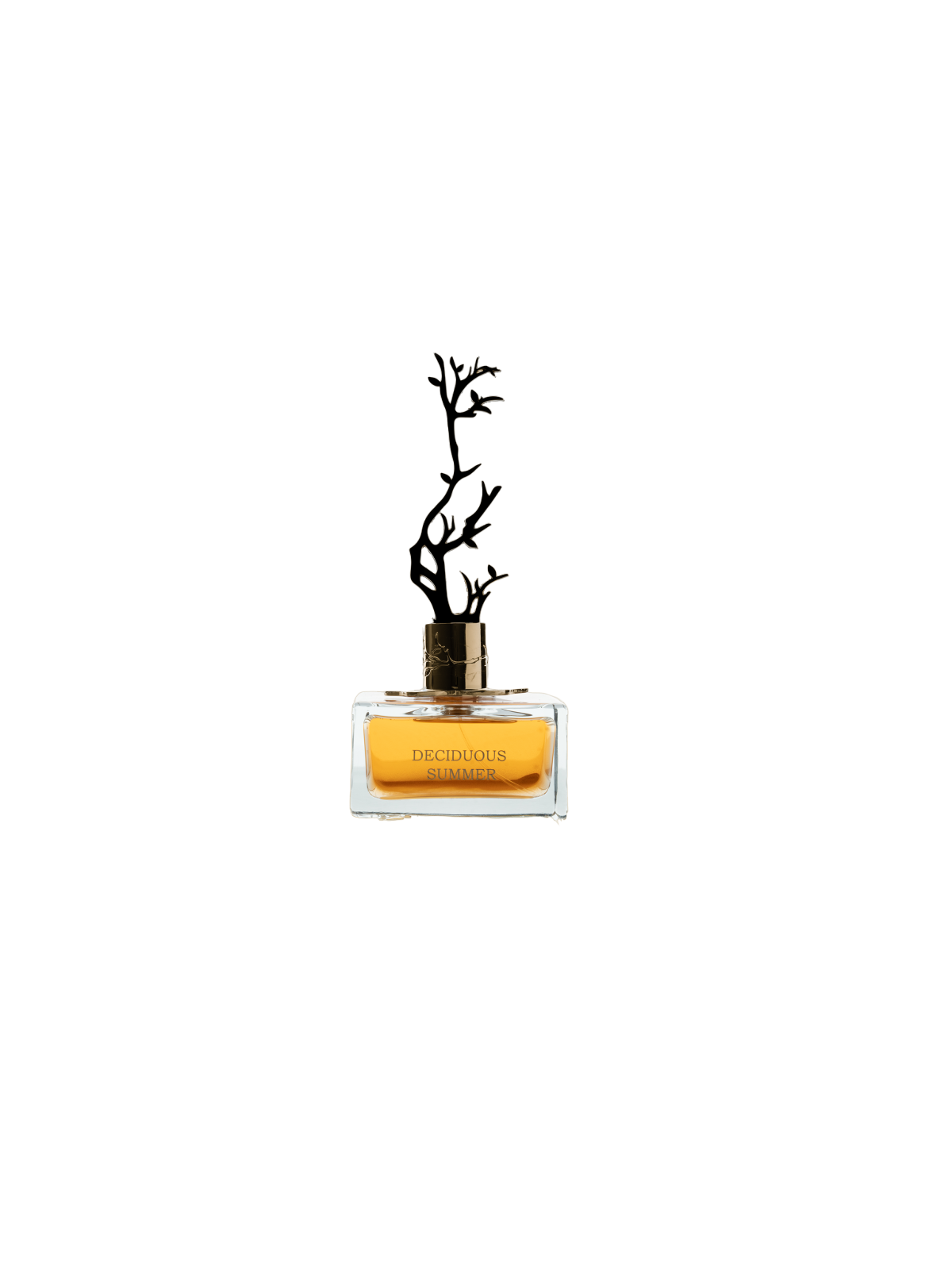 Aurora Deciduous Summer Eau De Parfum donna 100ml