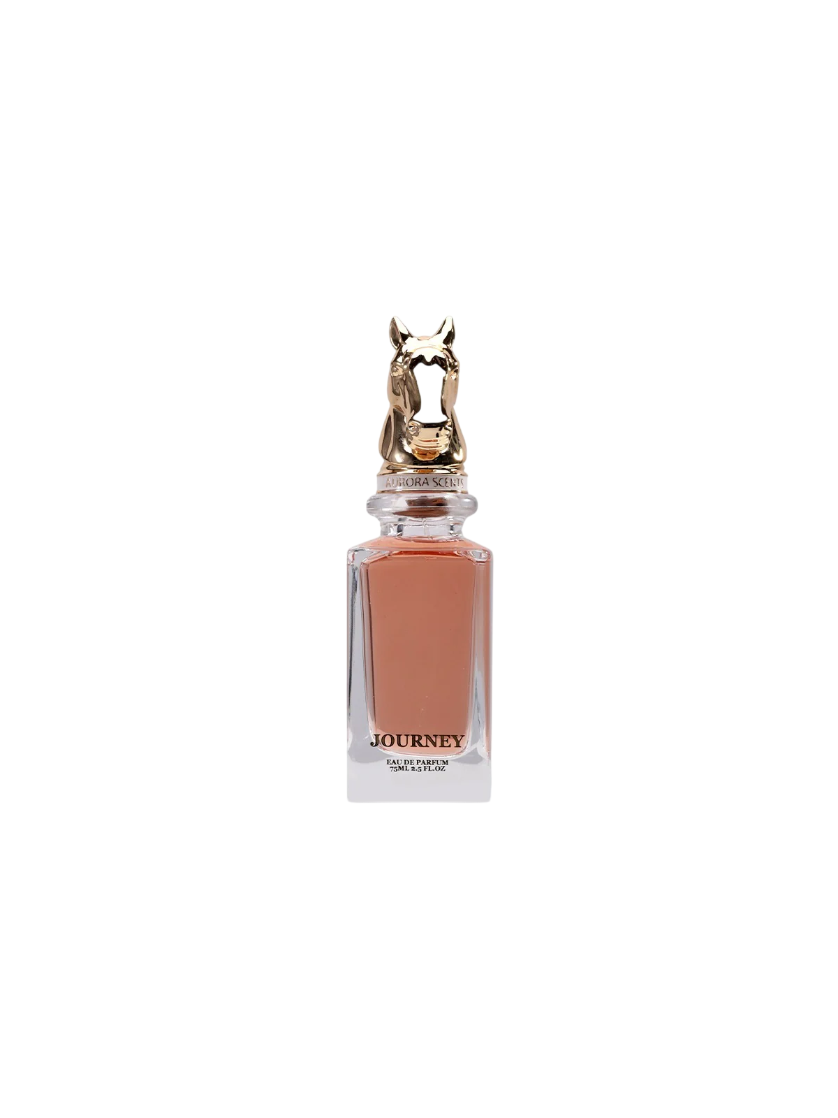 Aurora Equestrian Collection Journey Eau De Parfum uomo 75ml