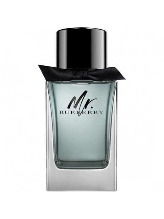 Burberry Mr. Burberry Eau De Toilette uomo 100ml