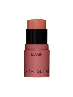 Diego Dalla Palma Blush All In One Stick 42 Salmone 4 g