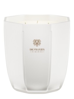 Candela profumata allo zenzero e lime Dr. Vranjes Firenze 500 g