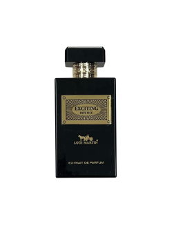 Loui Martin Exciting Intense Extrait De Parfum Unisex 100ml