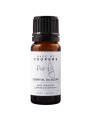 Miscela di oli essenziali di rosmarino Purify di Coopers 10ml