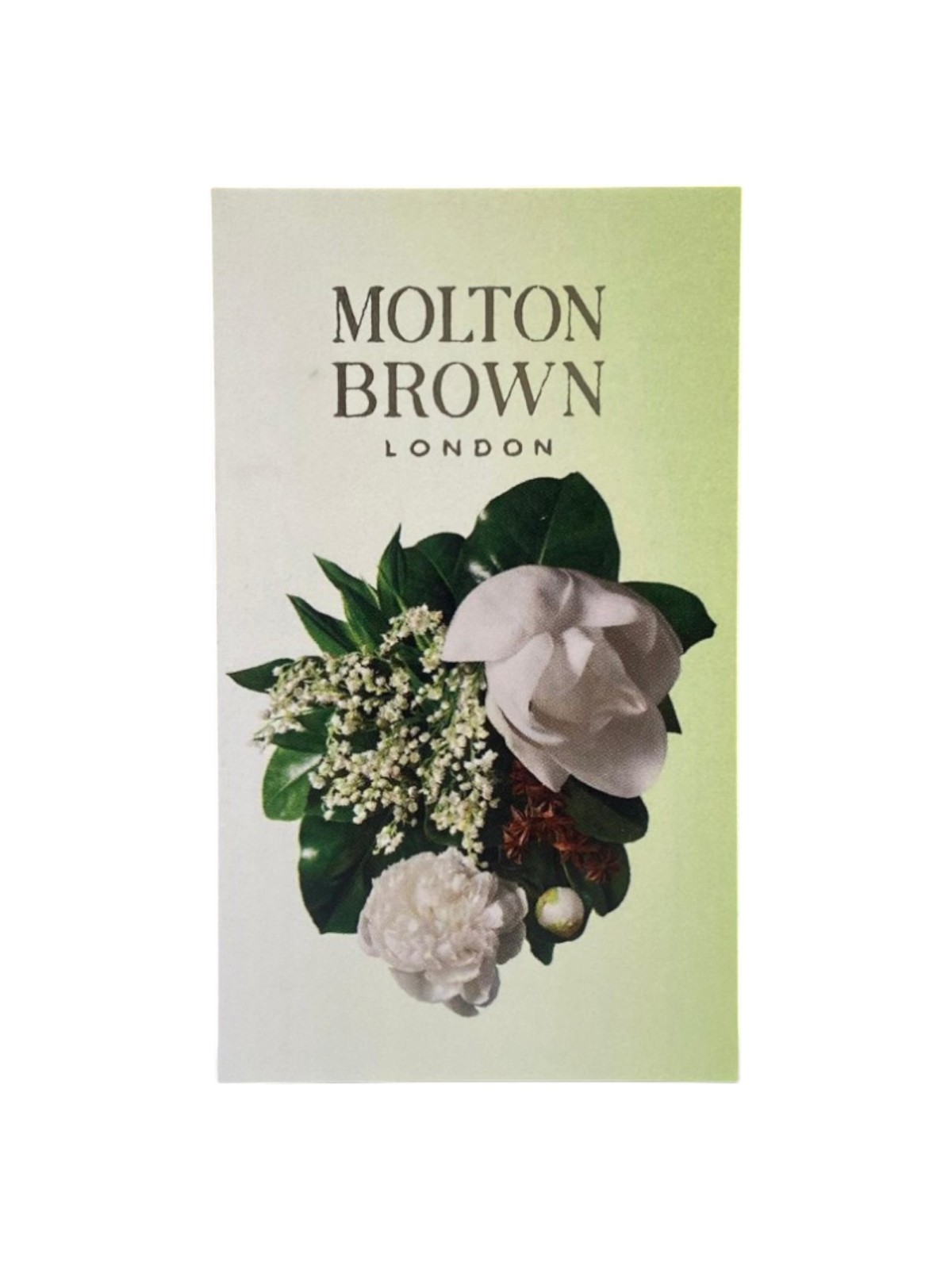 Molton Brown Dewy Cartine assorbenti al mughetto rugiadoso e anice stellato Molton Brown www.essenzetotalstyle.com 
