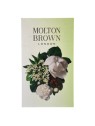 Molton Brown Dewy Cartine assorbenti al mughetto rugiadoso e anice stellato Molton Brown www.essenzetotalstyle.com 