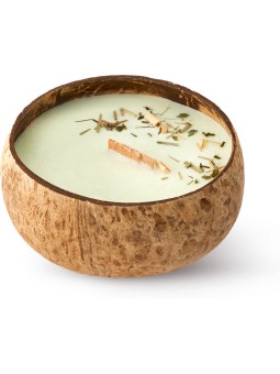 Tropikalia Candela in noce di cocco - profumo di citronella e zenzero unisex
