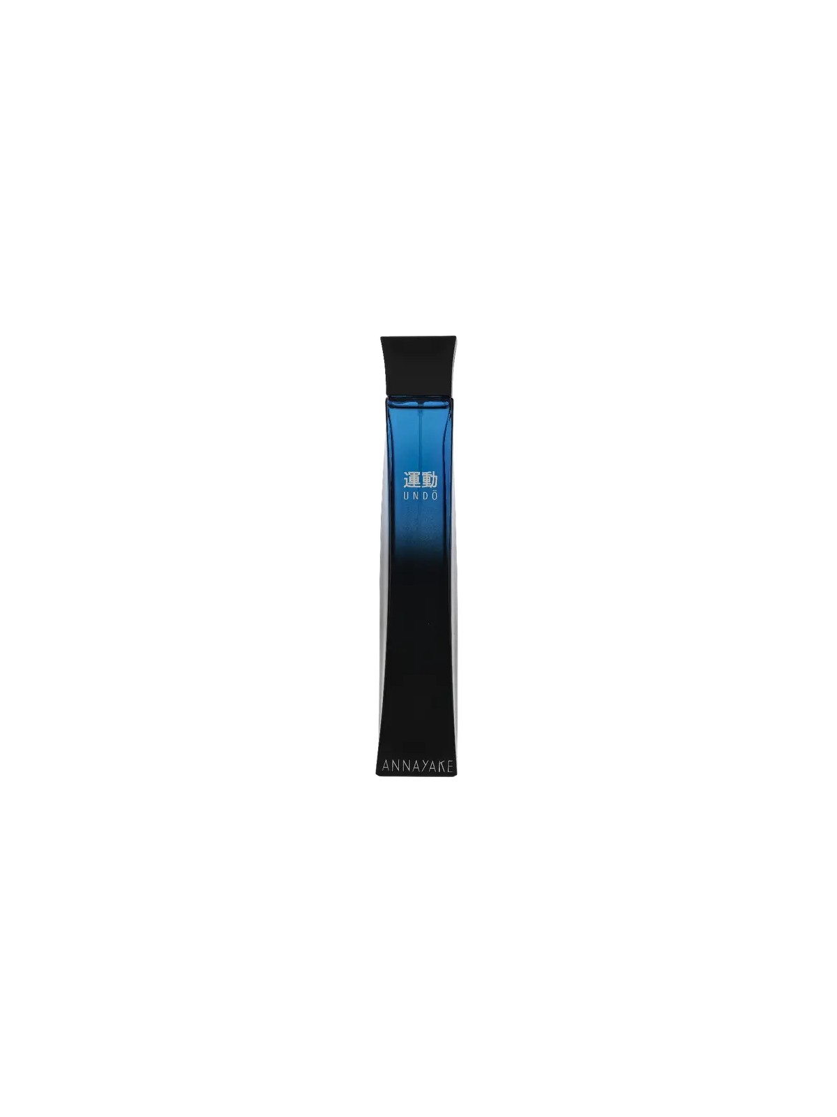 Annayake Undo Pour Homme eau de toilette Spray uomo 100ml