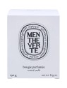 Candela Diptyque Menthe Verte 190g