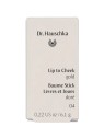 Dr. Hauschka Lip To Cheek 6,1g Numero 04 Gold