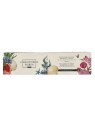 Spazzola Rotonda Capelli Christophe Robin