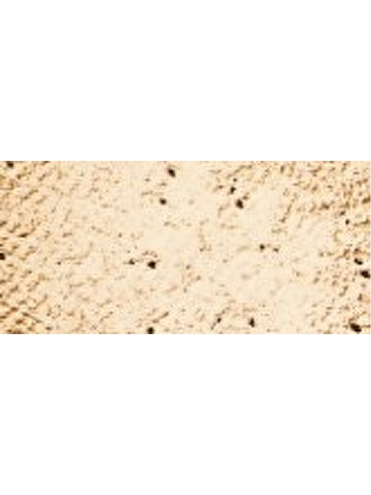 Inika Organic Loose Mineral Foundation SPF 25 - fondotinta minerale in polvere libera 8 g donna Grace