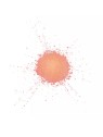 Star Lit Powder 11 Golden Orange - Make Up For Ever