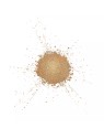 Make Up For Ever Star Lit Powder 17 Antic Gold - 1.2g