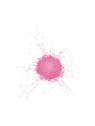 Make Up For Ever Star Lit Powder - Eleganza Rosa