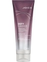 Balsamo Protettivo Joico DEFY DAMAGE 250ml Unisex