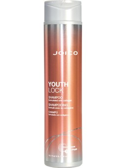 Shampoo Joico Youth Lock per capelli maturi donna