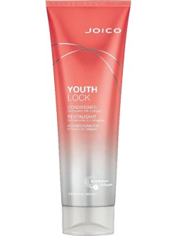 Joico Youth Lock Conditioner 250ml