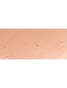 Essence Fondotinta in stick n.170 10gr unisex