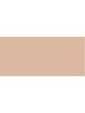 Dermacol Skin Tint Stick - Trucco leggero e idratante in stick 15 g donna 01 Avorio