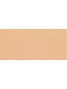 Bourjois Always Fabulous Powder 7g Numero 310 Beige