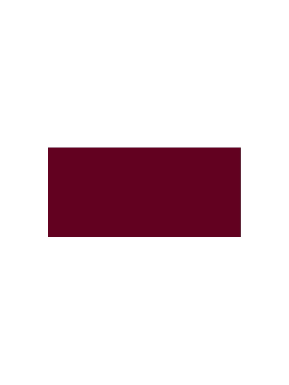 Bourjois Rossetto liquido FABULEUX INK n.07-raisin To Live 3,5ml unisex