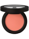 Catrice Soft Blur Powder Blush - Blush 5 g donna 10 Lychee Lush