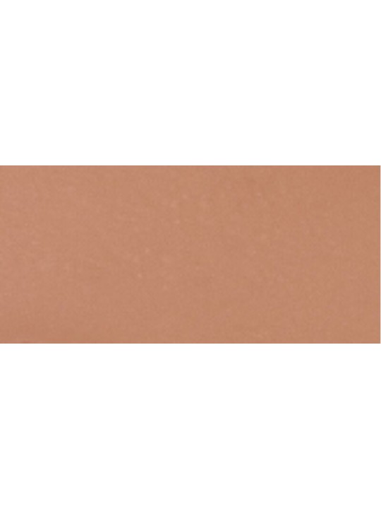 L'Oréal Paris  Balsamo trucco True Match Hyaluron Tinted Balm 8 g - Tonalità: 5 Medium donna