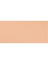 L'Oréal Paris  Balsamo trucco True Match Hyaluron Tinted Balm 8 g - Tonalità: 2.5 Neutral Light donna