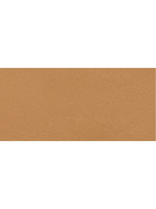 L'Oréal Paris  Balsamo trucco True Match Hyaluron Tinted Balm 8 g - Tonalità: 6 Medium Tan donna