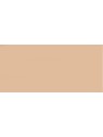 Estee Lauder Double Wear Max1N1 Ivory Nude