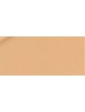 Clinique Moisture Surge Sheertint Hydrator SPF25 40ml Universal Light Medium