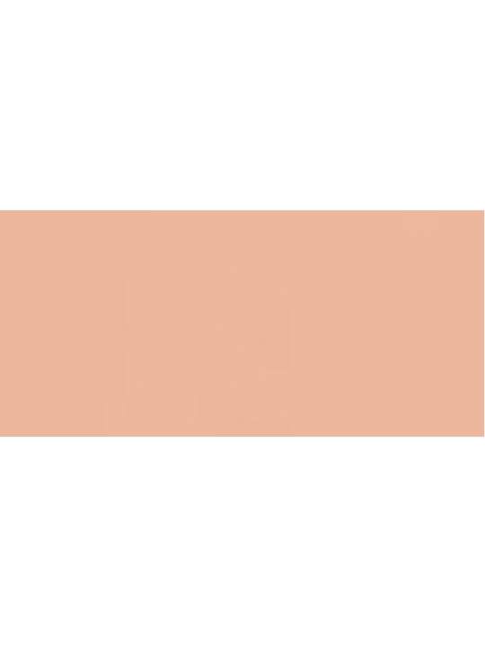 Fondotinta Chanel Les Beiges Healthy Glow 30ml BR22
