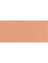 Chanel LES BEIGES Healthy Glow Foundation B40