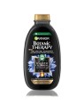Shampoo al carbone magnetico e olio di semi neri capelli grassi con punte secche 400ml
