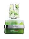 Armaf Scentasy Matcha Magix eau de parfum 100ml unisex