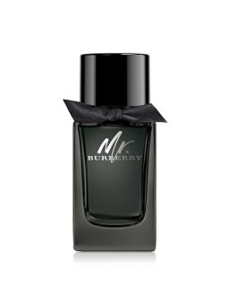 Burberry Mr Burberry Eau de Parfum eau de parfum uomo 50ml