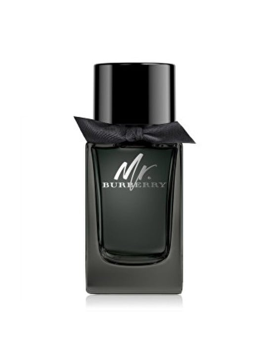 Burberry Mr Burberry Eau de Parfum eau de parfum uomo 50ml